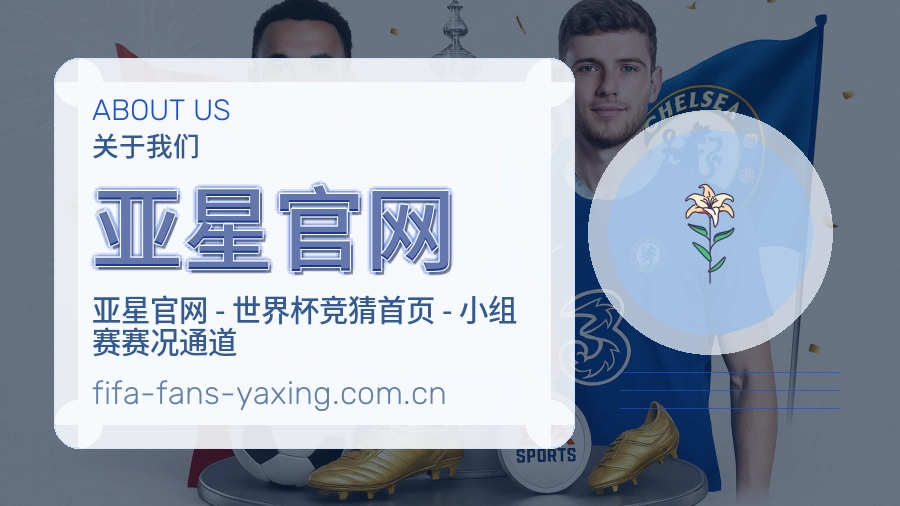 亚星官网服务理念